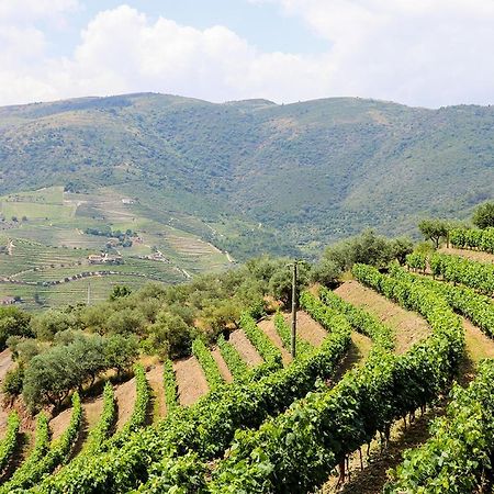 Вілла Quinta Do Monte Bravo - Douro - Quarto Duplo Ervedosa do Douro Екстер'єр фото
