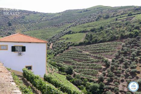 Вілла Quinta Do Monte Bravo - Douro - Quarto Duplo Ervedosa do Douro Екстер'єр фото
