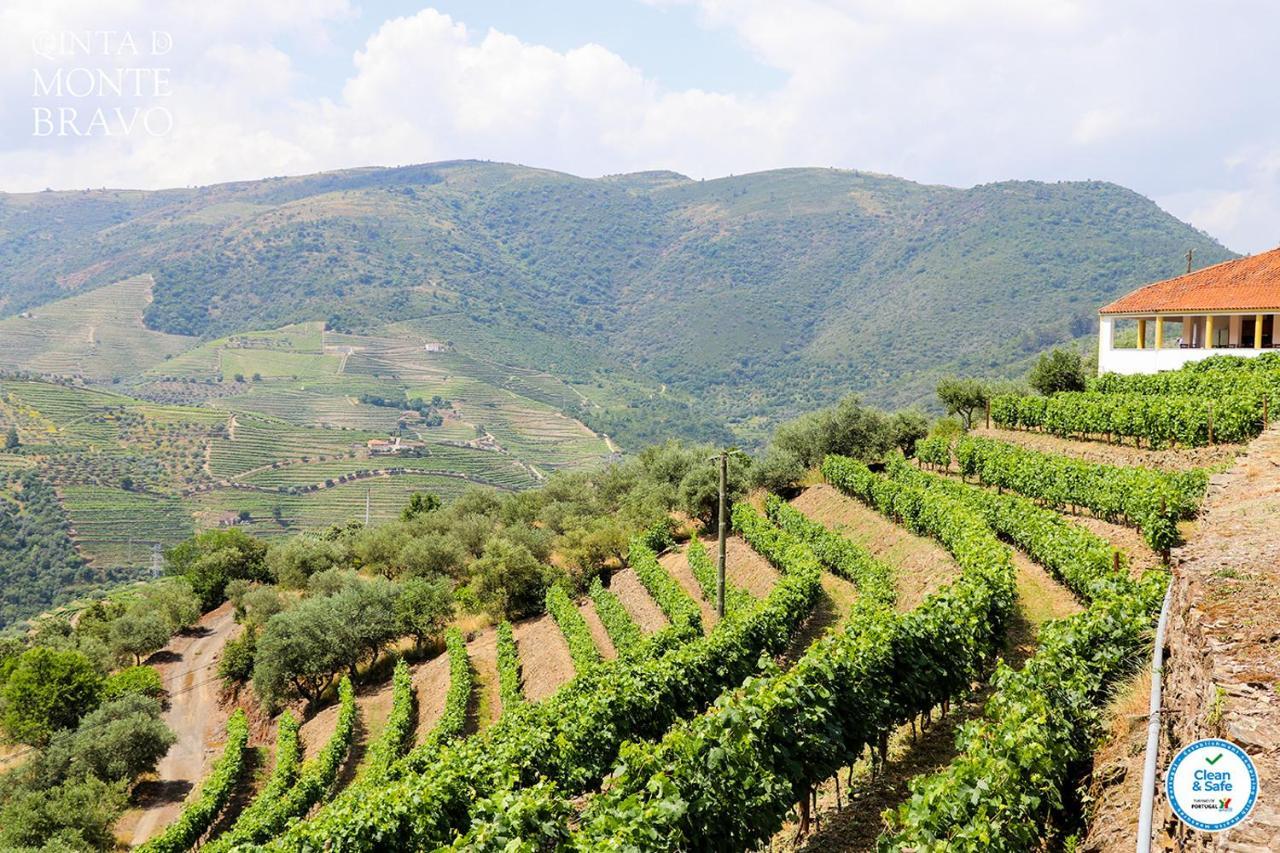 Вілла Quinta Do Monte Bravo - Douro - Quarto Duplo Ervedosa do Douro Екстер'єр фото