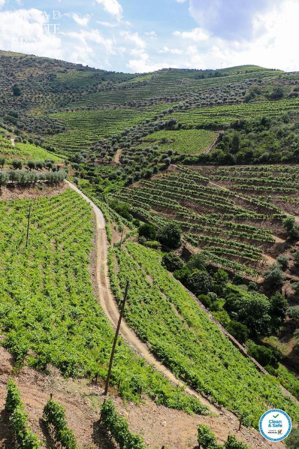 Вілла Quinta Do Monte Bravo - Douro - Quarto Duplo Ervedosa do Douro Екстер'єр фото