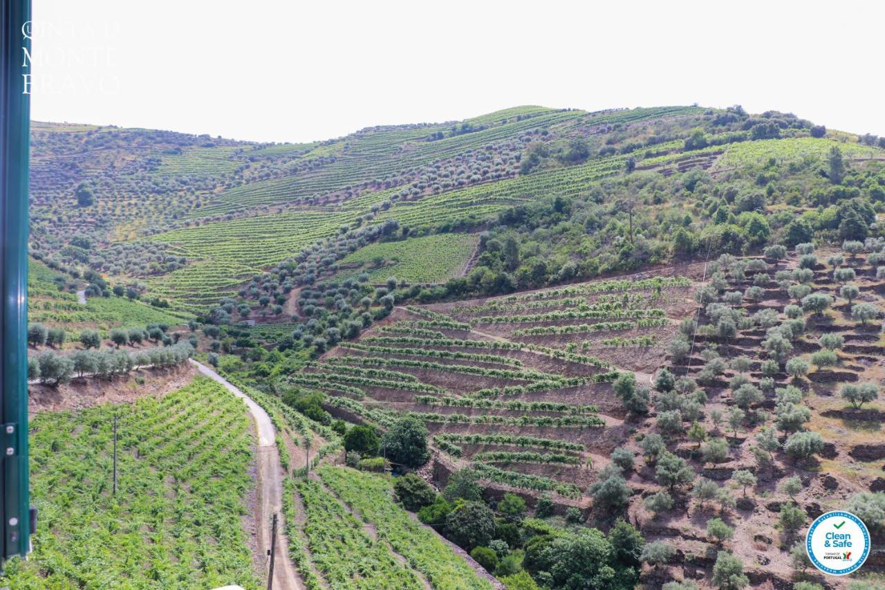 Вілла Quinta Do Monte Bravo - Douro - Quarto Duplo Ervedosa do Douro Екстер'єр фото